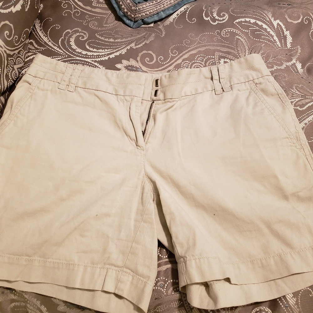 Loft shorts